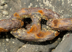 Chain link, Stackpole Quay