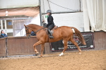 SBM_001538