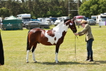 SBM_05445