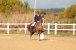 SBM_009295