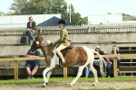 SBM_67655