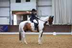SBM_003528