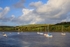 Moorings on the  Teifi No3