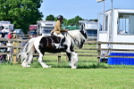 SBM_12178