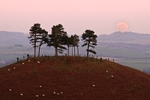 Moonrise over Colmers Hill