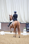 SBM_025964