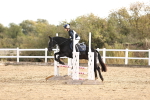 SBM_000653