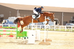 SBM_010433
