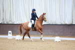 SBM_008240