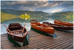The Boats, Lake Bled, Slovenia (IMG0870)