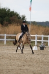 SBM_015685