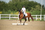 SBM_007982