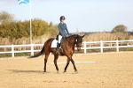 SBM_008986