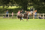 SBM_71653