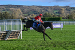 251025-Race 4-Gowel Road-9135