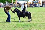 SBM_03469
