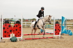 SBM_007447