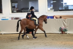 SBM_02091