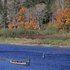 Fly Fishing on the Miramichi - 3