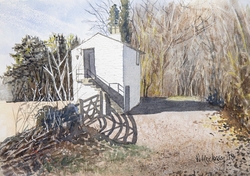 Local scenes portfolio