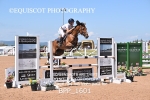 BPP_1601