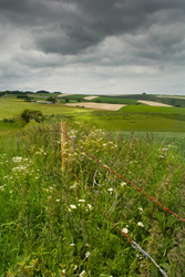 Cranborne Chase
