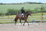 BPP_9307