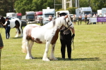 SBM_04201