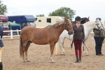 SBM_07805