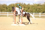 SBM_002534
