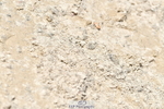 260630A-131355-06574