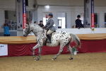 SBM_23745