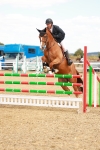 SBM_006874
