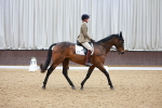 SBM_001165
