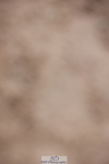 231112A-151305-05198