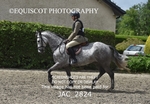 JAC_2824