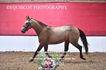 BPP_1401
