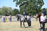 WJ6_8463