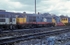 20th April 1991