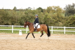 SBM_003095
