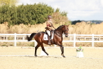 SBM_003483