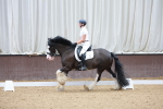 SBM_008416