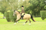 SBM_72037