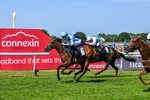 Race 3 15.15pm Big Racing Weekender Next 3 And 4 July Restricted Maiden Stakes portfolio