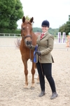 Class 4 - Mountain and Moorland Large Breeds portfolio
