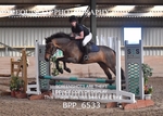 BPP_6533