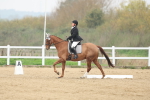 SBM_005974