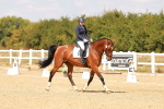 SBM_018593