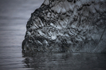 Ice 8983
