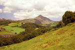 Cnicht from Croesor